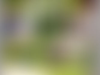 w plenerze z młodzieżą :-)